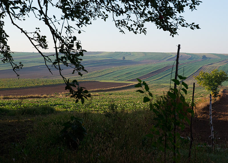 widok na kolorowe paski pól.