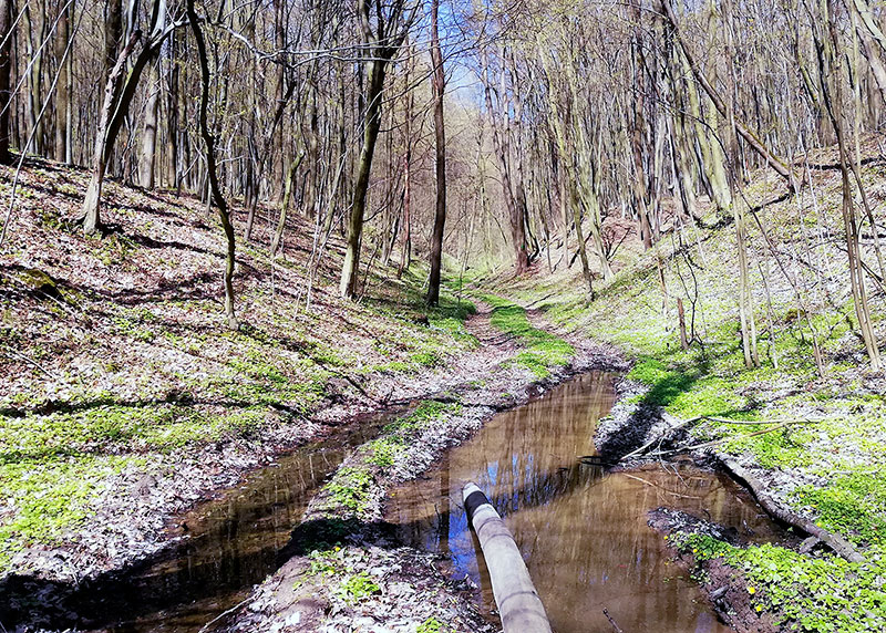  Kałuże w wąwozie 