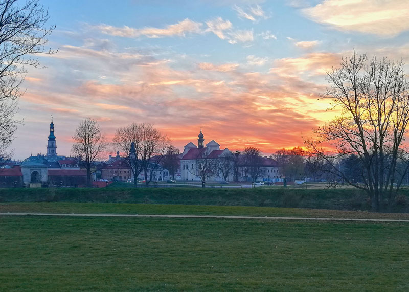 Grzęda Sokalska kepa ostów nad stawem