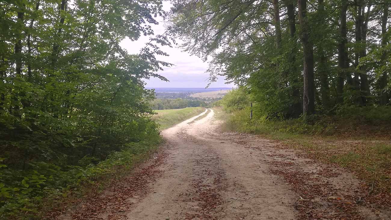 Droga w pagórkowatym terenie 