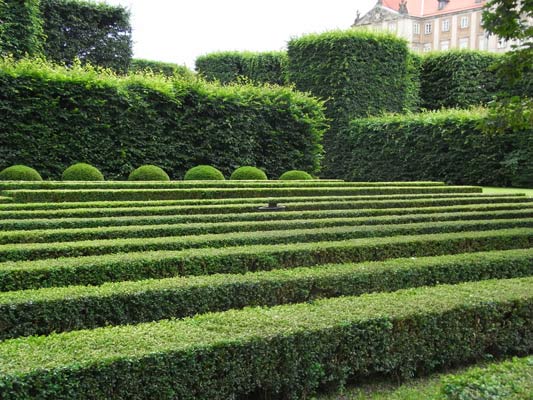 ogrody przy zamku królewskim Warszawa