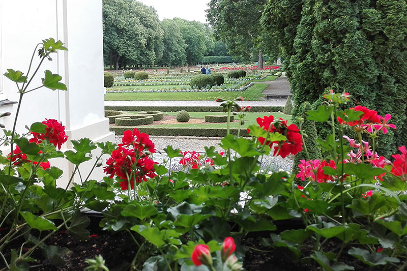 park przy pałacu Kozłowka