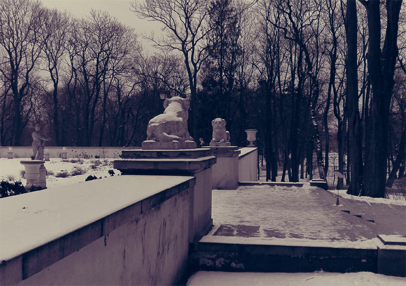 lwy rzeźba zimowy park Łazienkowski