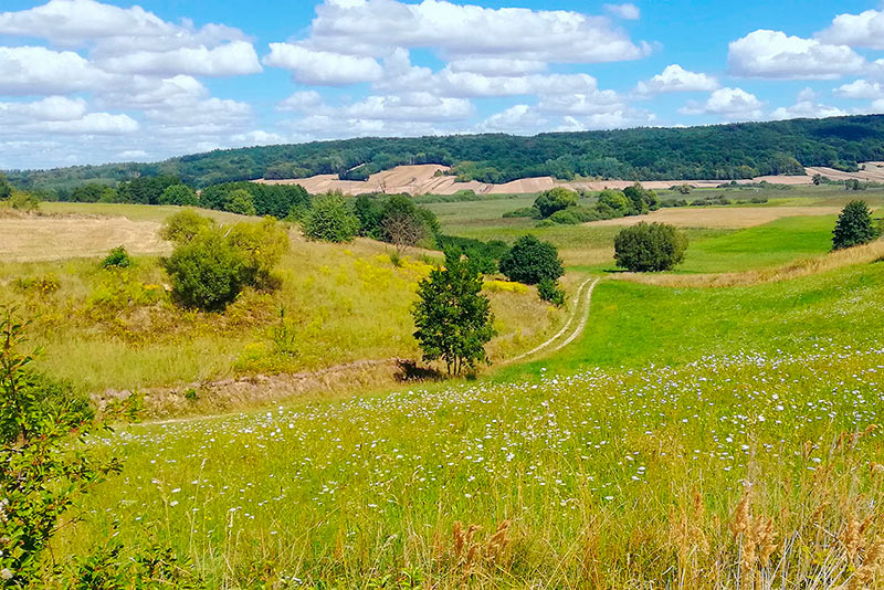Droga polna prowadzi ku wzgórzom..