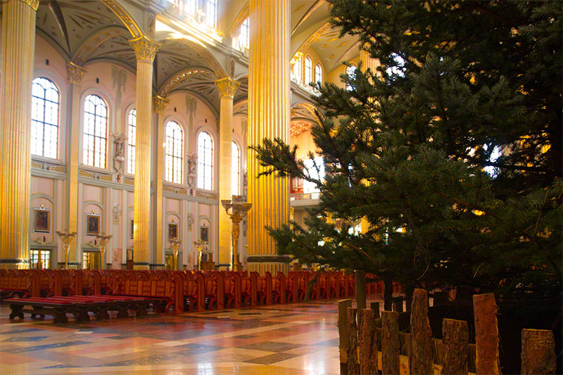 sanktuarium maryjne choinka w okresie świątecznym
