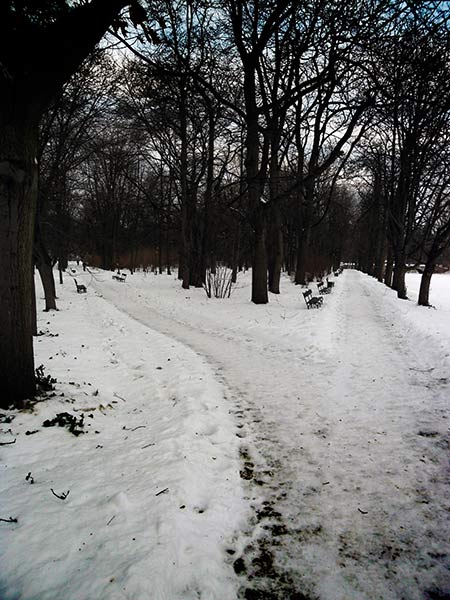  ścieżki w parku